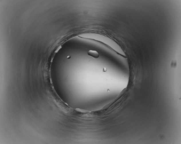 X0000111900708200907271158