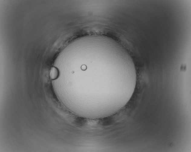 X0000111900709200907271158