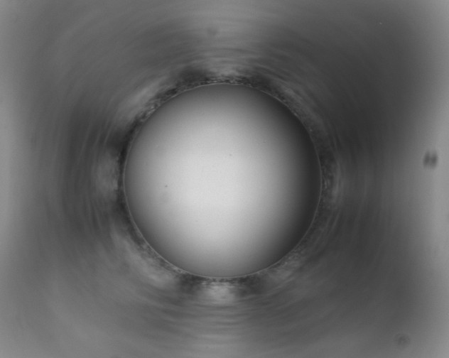 X0000111900710200907271158