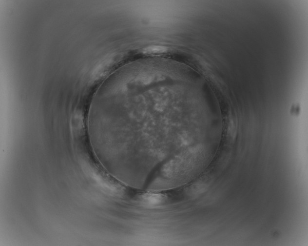 X0000111900711200907271158