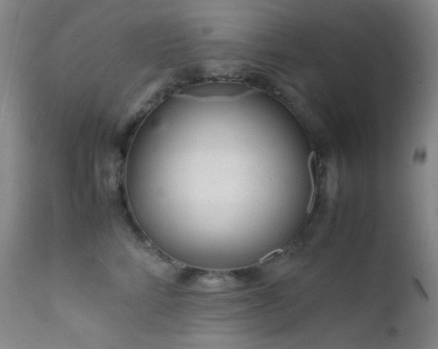 X0000111900712200907271158