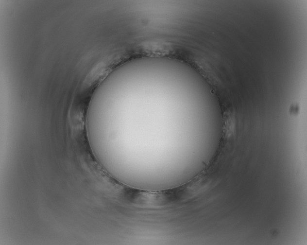 X0000111900713200907271158