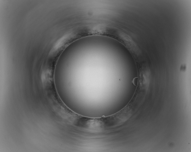 X0000111900714200907271158