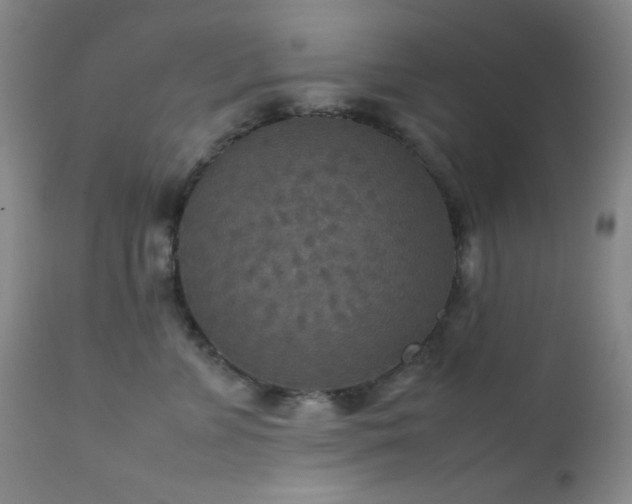 X0000111900715200907271158