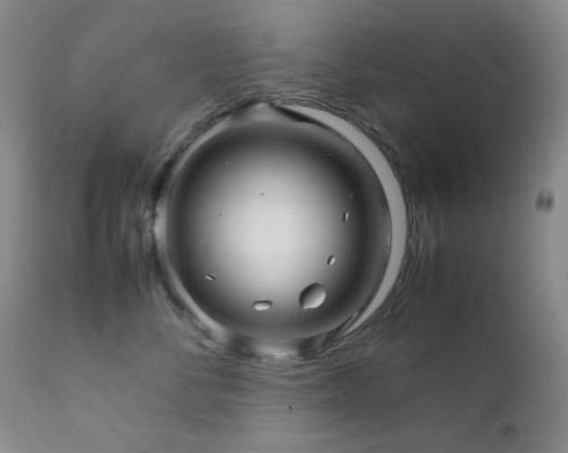 X0000111900716200907271158