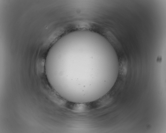 X0000111900717200907271158