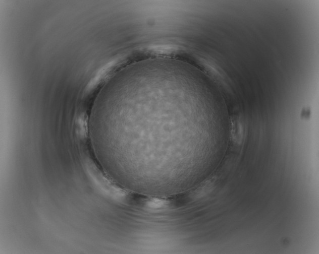 X0000111900718200907271158