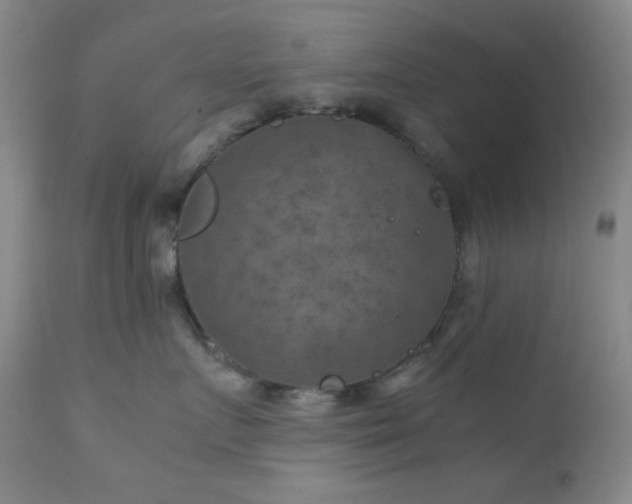 X0000111900719200907271158