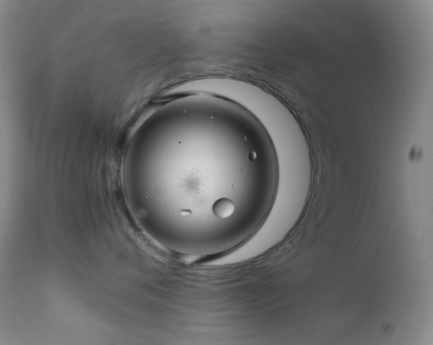 X0000111900720200907271158