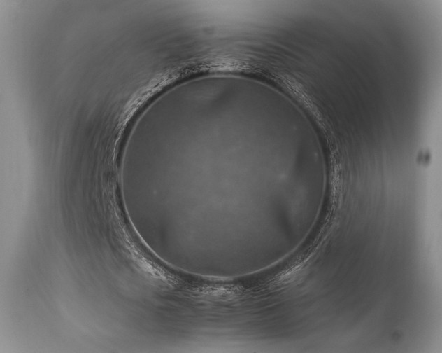 X0000111900721200907271157