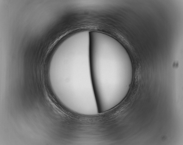 X0000111900722200907271157