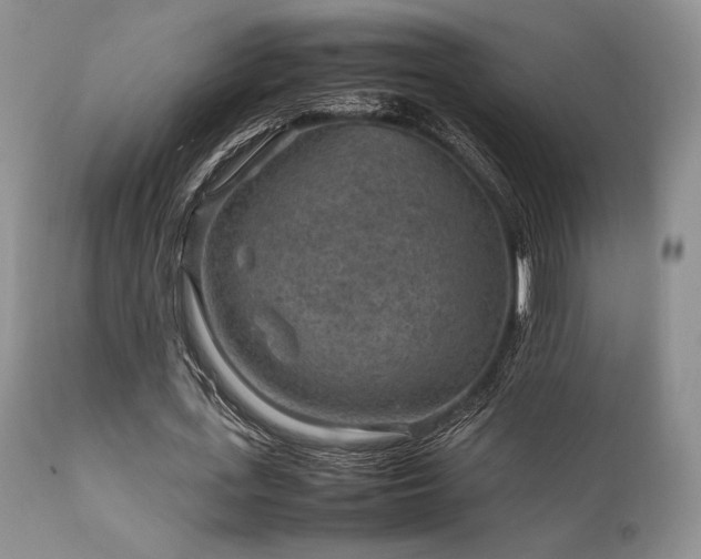 X0000111900723200907271157