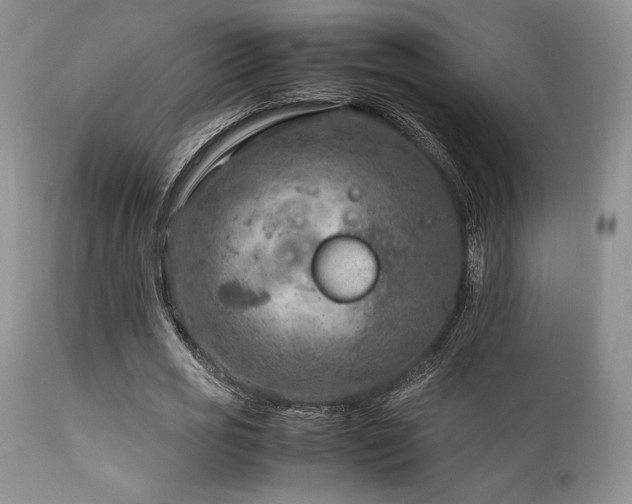 X0000111900725200907271157