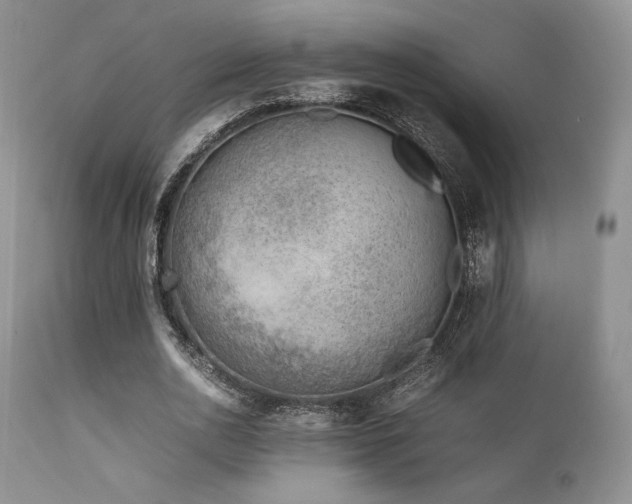 X0000111900726200907271157