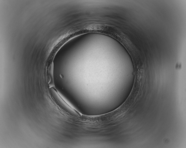 X0000111900727200907271157