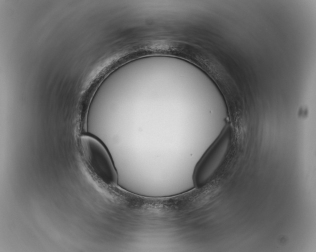 X0000111900728200907271157