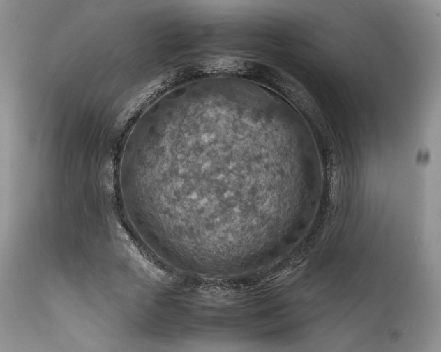 X0000111900729200907271157