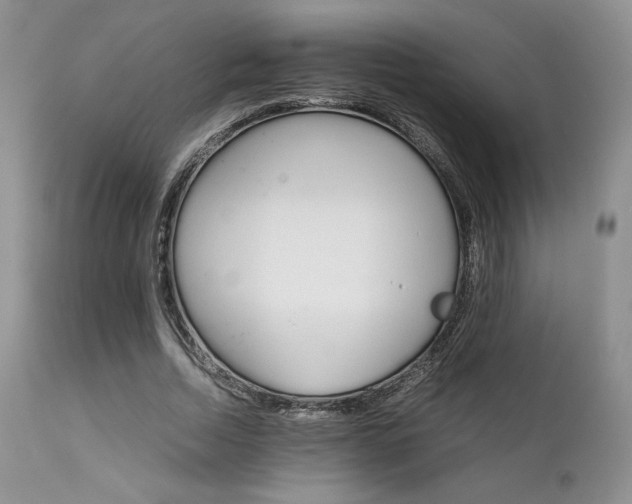 X0000111900730200907271157