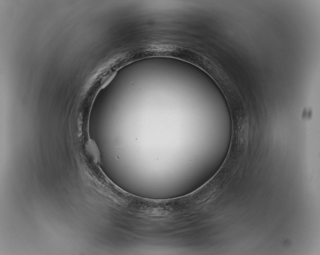 X0000111900731200907271157