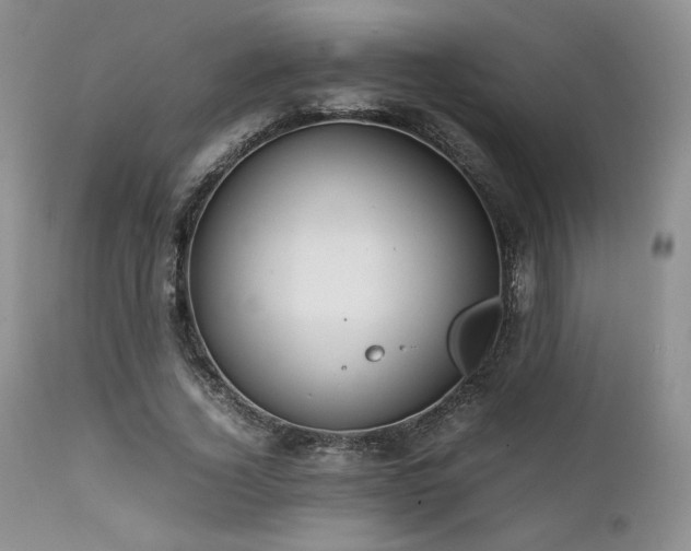 X0000111900732200907271157