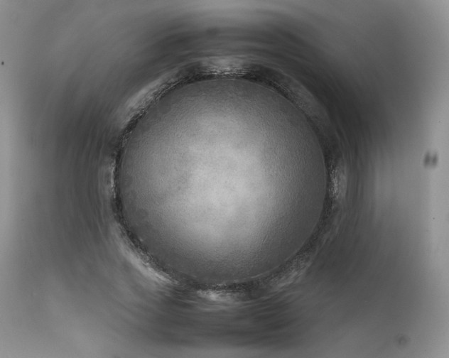 X0000111900733200907271157