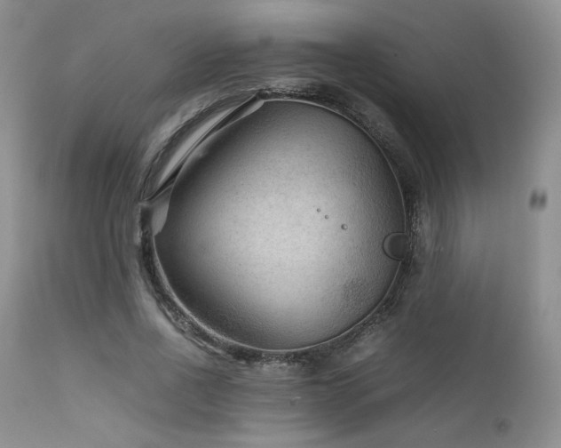 X0000111900734200907271157