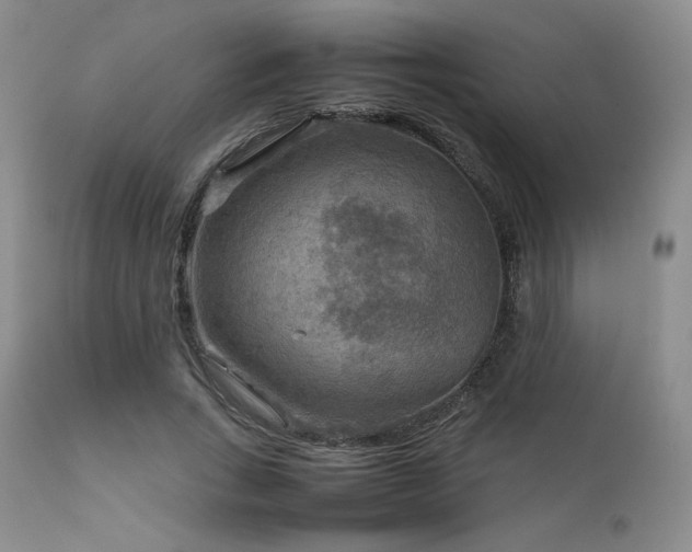 X0000111900735200907271157