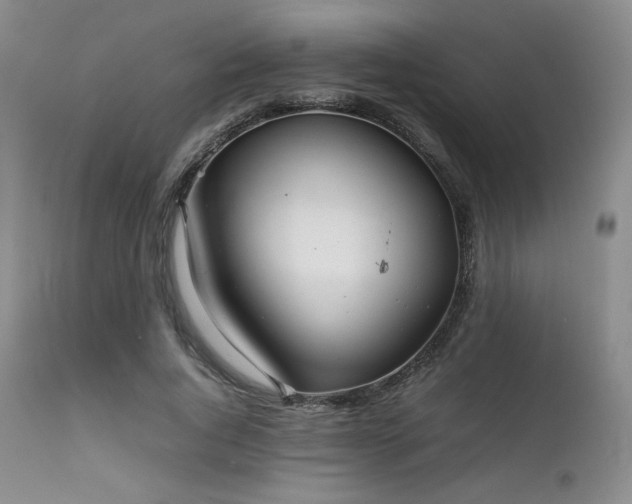 X0000111900736200907271157