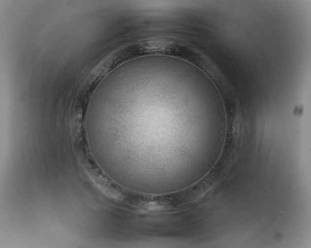 X0000111900737200907271157