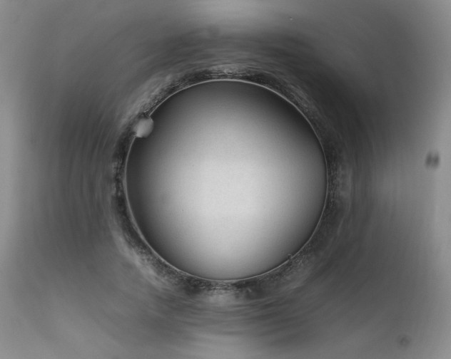 X0000111900738200907271157