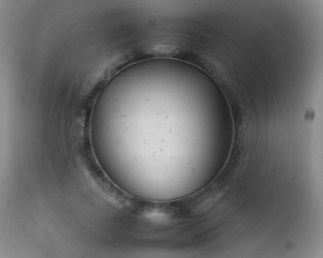 X0000111900739200907271157