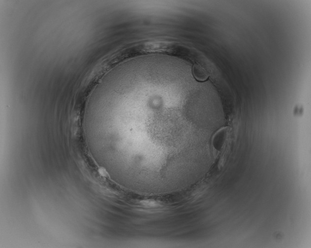 X0000111900741200907271157