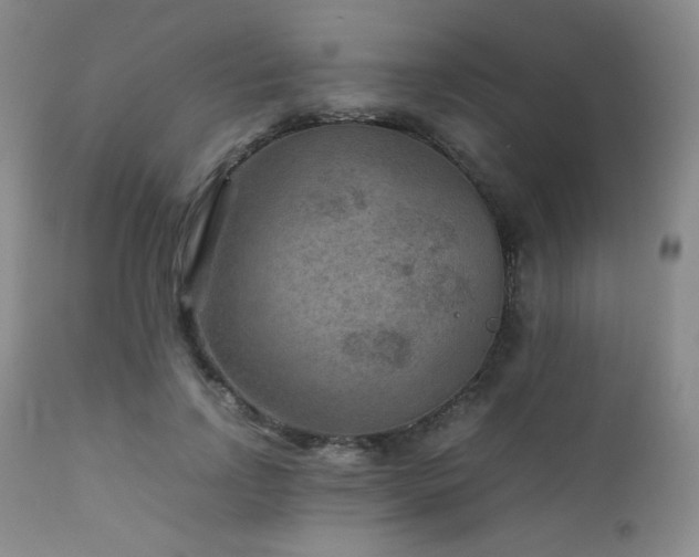 X0000111900742200907271157