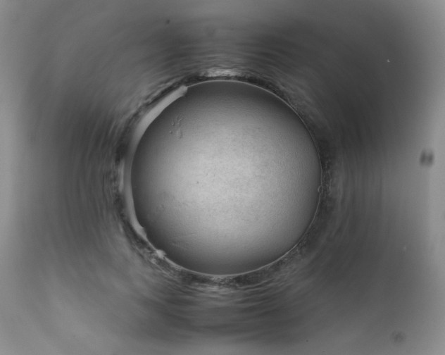 X0000111900743200907271157