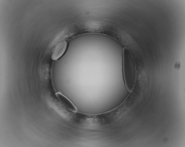 X0000111900744200907271157