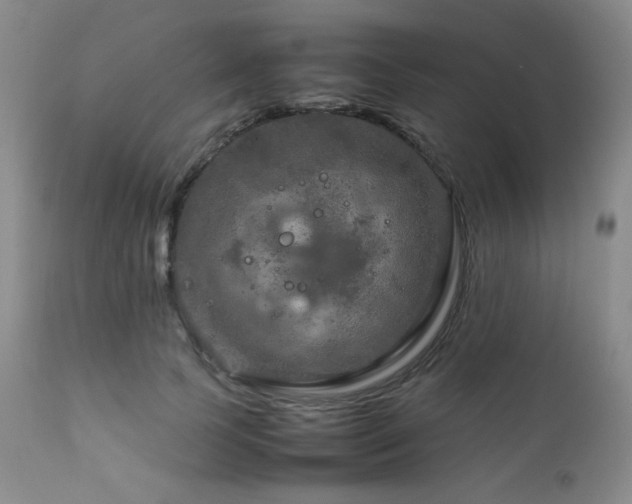 X0000111900745200907271157