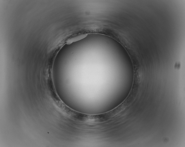 X0000111900746200907271157