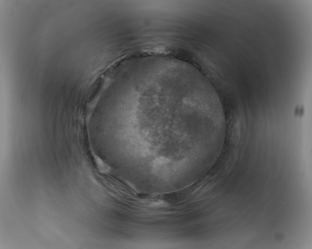 X0000111900747200907271157