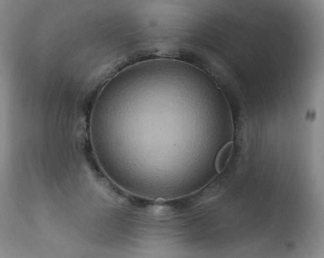 X0000111900748200907271157