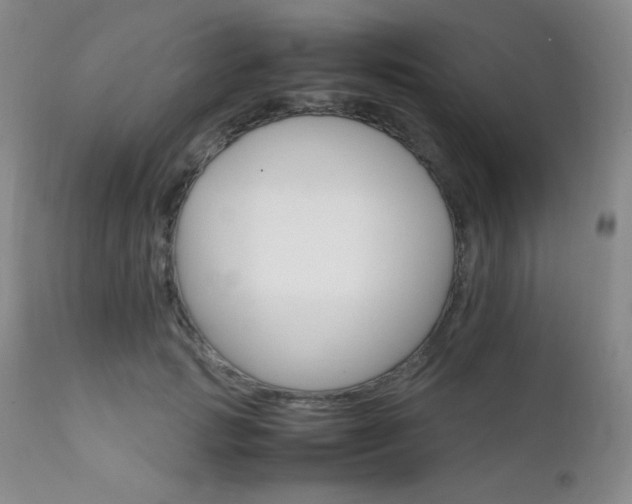 X0000111900749200907271157