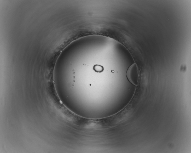 X0000111900750200907271157