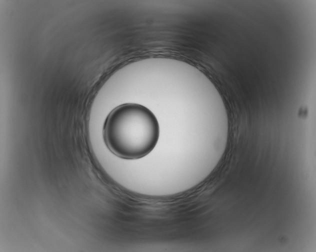 X0000111900751200907271157