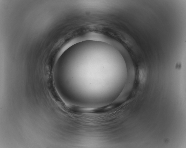 X0000111900752200907271157