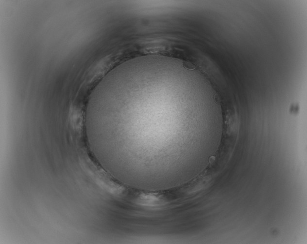 X0000111900753200907271157