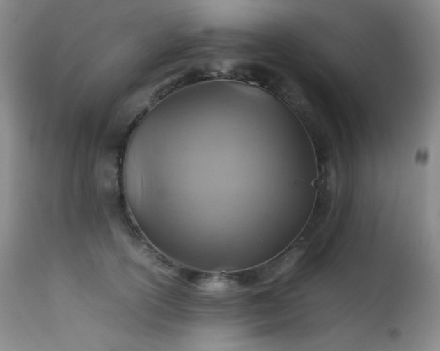 X0000111900754200907271157