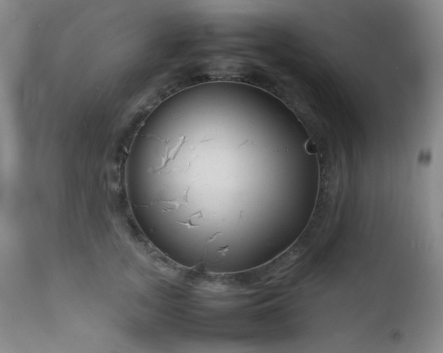 X0000111900755200907271157