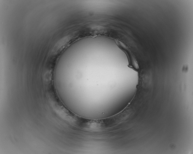 X0000111900756200907271157