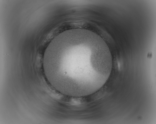 X0000111900757200907271158