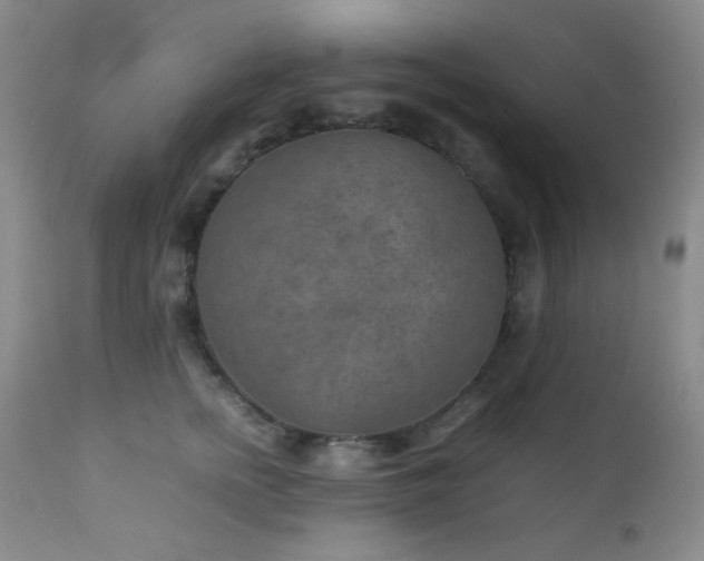 X0000111900758200907271158