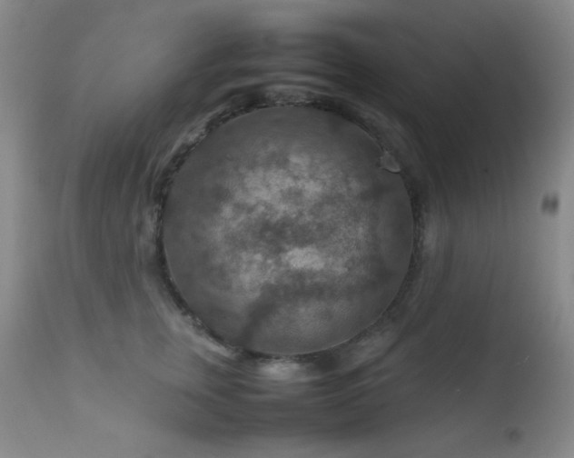 X0000111900759200907271158